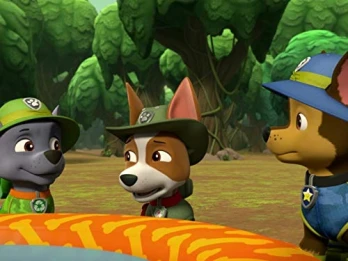Pups Save the Jungle Penguins/Pups Save a Freighter
