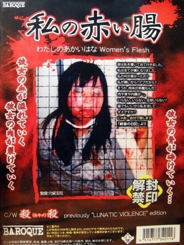 DVD Cover (Japan)