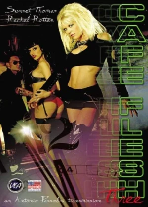 DVD Cover (VCA Pictures)