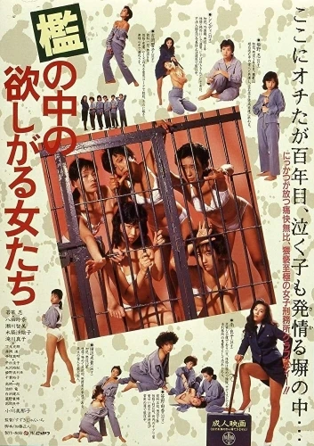 Theatrical Poster (Japan)