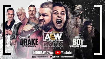 AEW Dark: Elevation #12