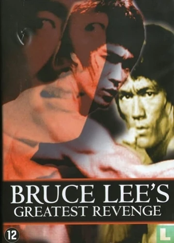 DVD Cover (Netherlands)
