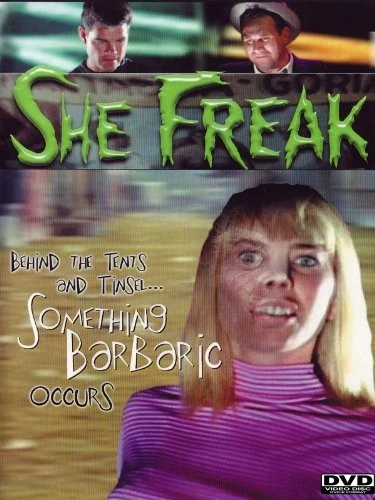 DVD Cover (Cheezy Movies)