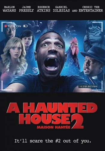 DVD Cover (France)