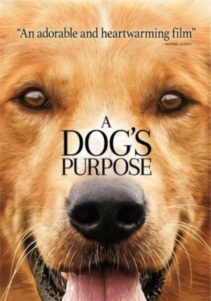 DVD Cover (Universal)