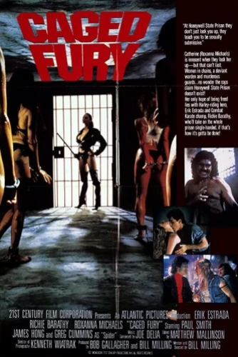 Theatrical Poster (USA)
