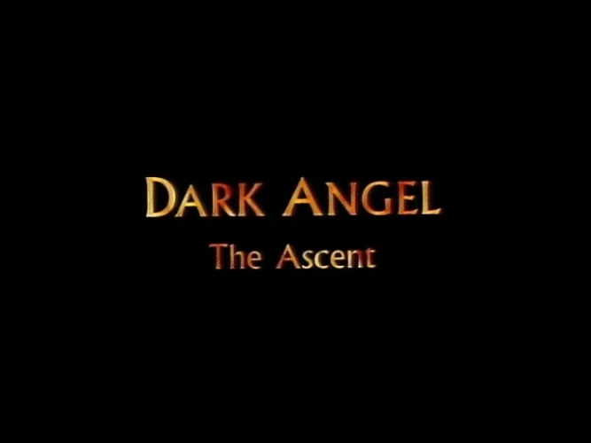 Title Card