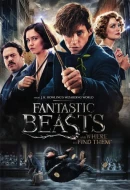 Fantastic Beasts And Where To Find Them