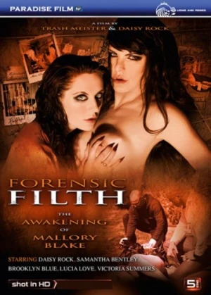 DVD Cover (Paradise Film)