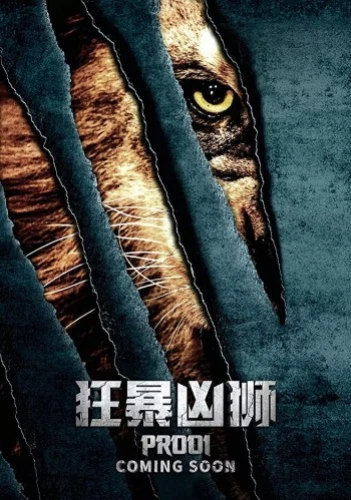 Theatrical Poster (China)