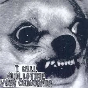 Chihuahua Death Demo '08