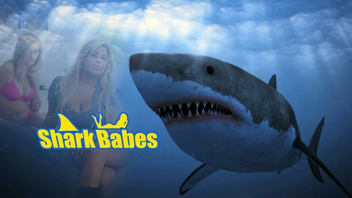 Title Card