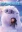 Abominable