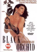 Black Orchid