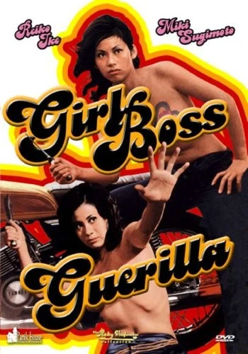 DVD Cover (Panik House)