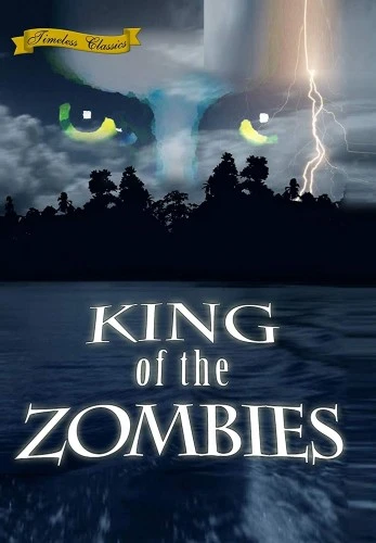 DVD Cover (A2ZCDS)