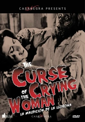 DVD Cover (Panik House)