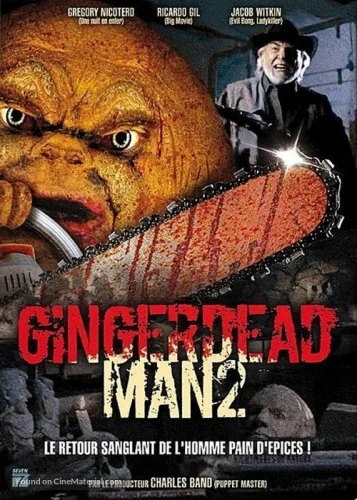 DVD Cover (France)