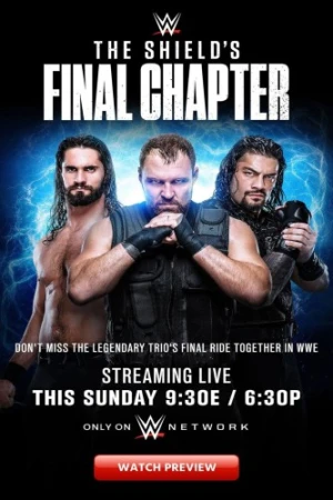Theatrical Poster