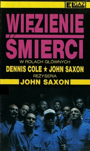 VHS Cover (Poland)