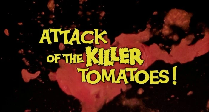 Title Card