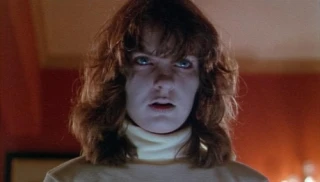 Robin Davidson
