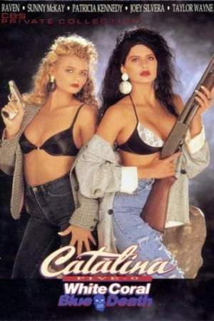 VHS Cover (Cinderella Classics)