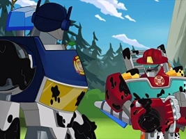 Land Before Prime