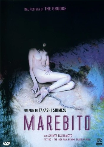 DVD Cover (Italy)