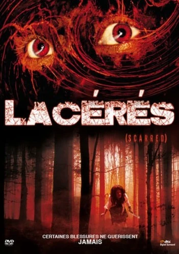 DVD Cover (France)
