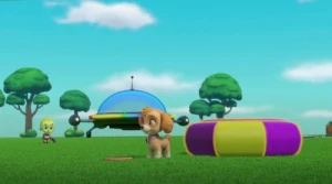 Pups Save a Rubble-Double/Pups Save a Clown