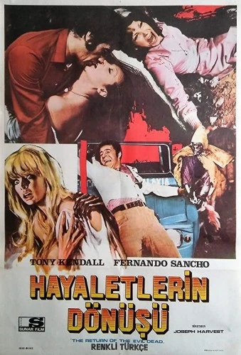 Theatrical Poster (Turkey)