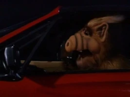Baby, You Can Drive My Car