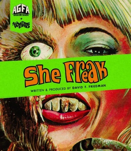 DVD Cover (American Genre Film)