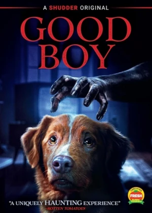 DVD Cover (Shudder)