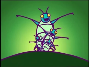 Fly Away Home