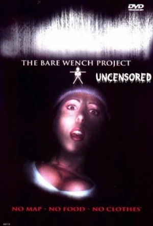 DVD Cover (Nikki Fritz Inc.)