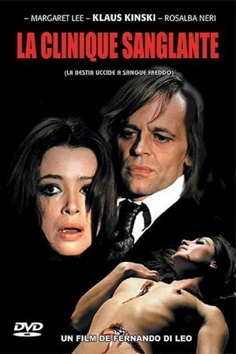 DVD Cover (France)