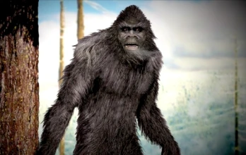 Aliens and Bigfoot