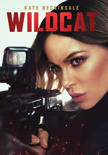 DVD Cover (Decal Releasing)