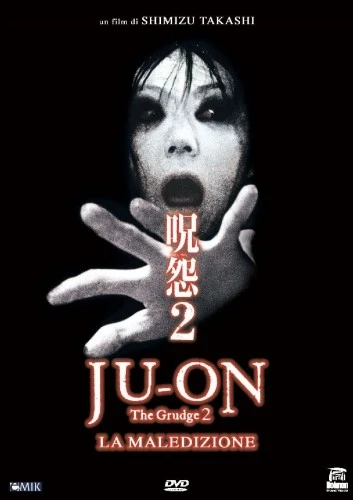 DVD Cover (Italy)