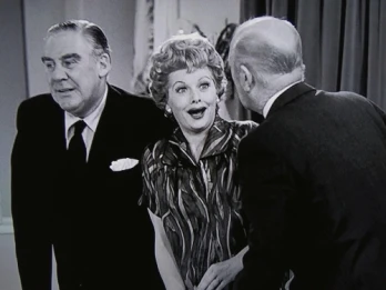Lucy Wants a Career