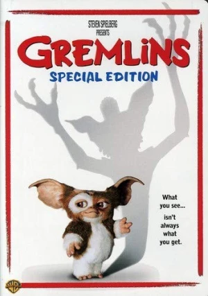 DVD Cover (Warner Brother Special Edition)