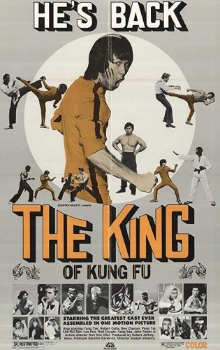 Theatrical Poster (USA)