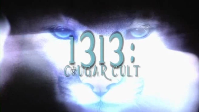 Title Card