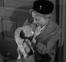 Miss Paisley's Cat