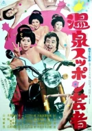 Hot Springs Soft Shell Turtle Geisha