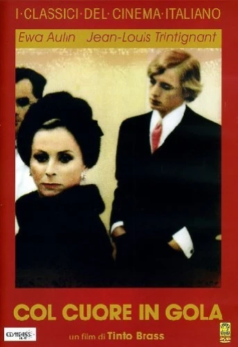 DVD Cover (Italy)