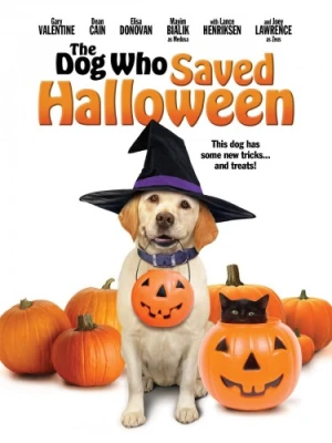 DVD Cover (Anchor Bay)
