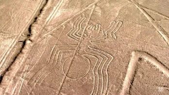 The Desert Codes
